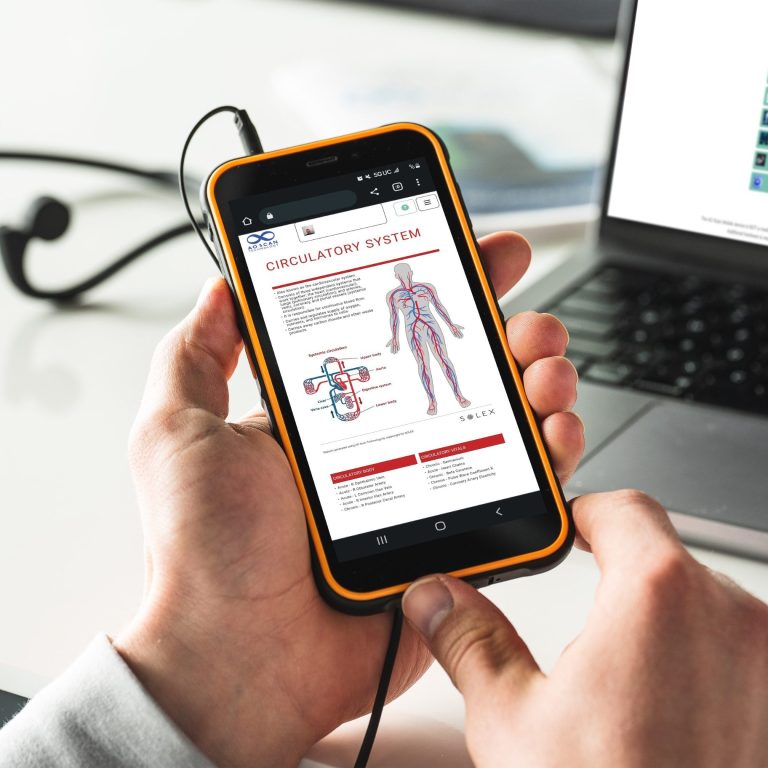 Hand hält ein Smartphone, das eine Grafik zum menschlichen Kreislaufsystem zeigt.